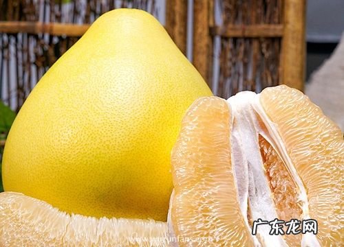 如何挑选柚子是甜的 挑选好吃的柚子顺口溜