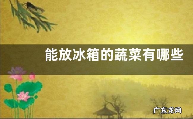 能放冰箱的蔬菜有哪些 什么蔬菜适合放冰箱保存