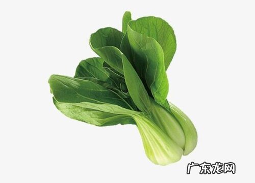 花科类的蔬菜有哪些 属于花科类蔬菜植物种类