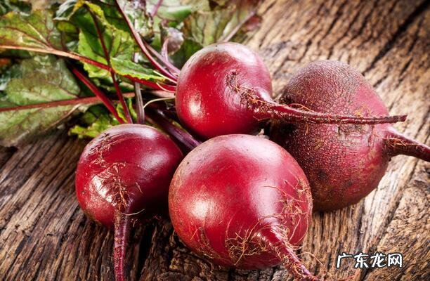 忌氯的蔬菜有哪些 哪些蔬菜作物不能用含氯肥料