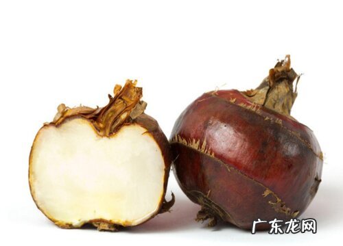 水生蔬菜有哪些品种 常见的水生菜类蔬菜品种