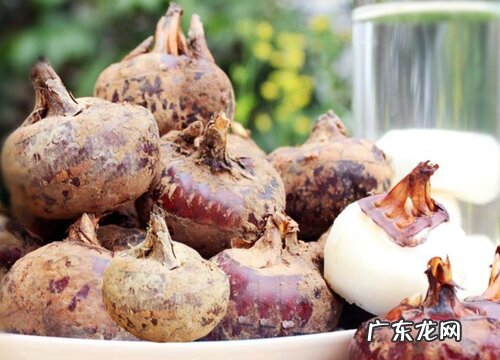 水生蔬菜有哪些品种 常见的水生菜类蔬菜品种