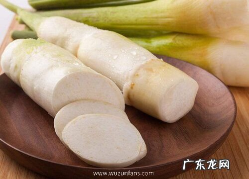 喜湿耐涝的蔬菜有哪些品种 涝地种什么蔬菜好