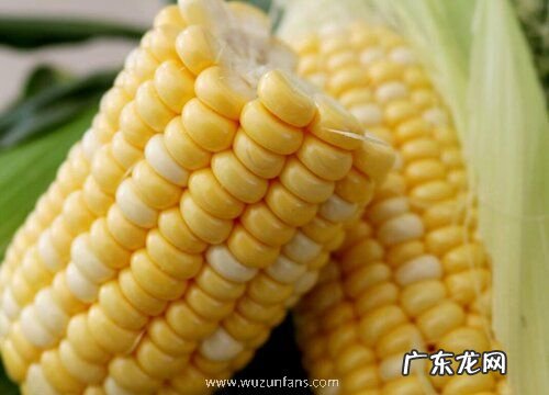 能烤的蔬菜有哪些 常见的能烤着吃的蔬菜品种