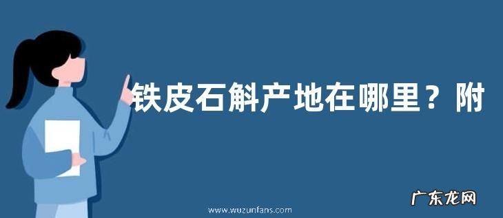 铁皮石斛产地在哪里?附价值