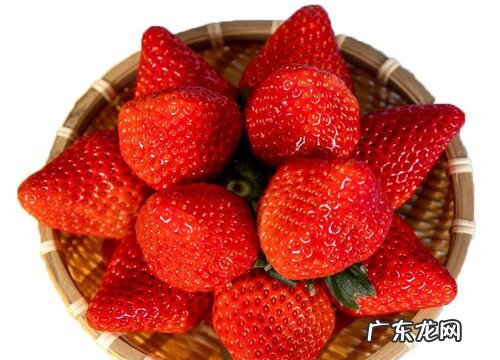 草莓是水果还是蔬菜