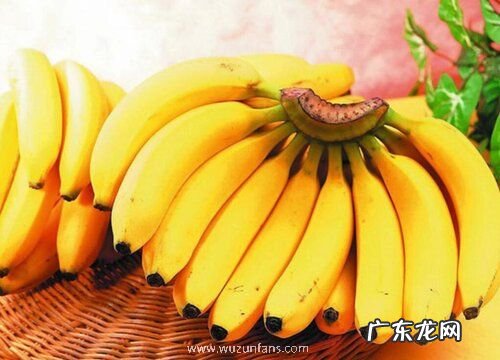 香蕉哪个品种最好吃 好吃的香蕉品种排名