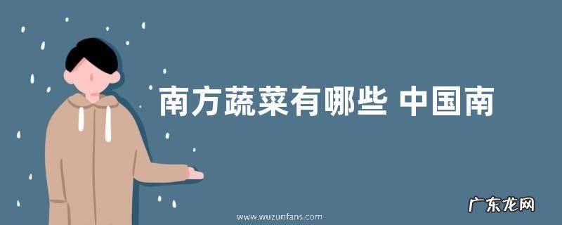 南方蔬菜有哪些 中国南方特蔬菜品种名称及图片