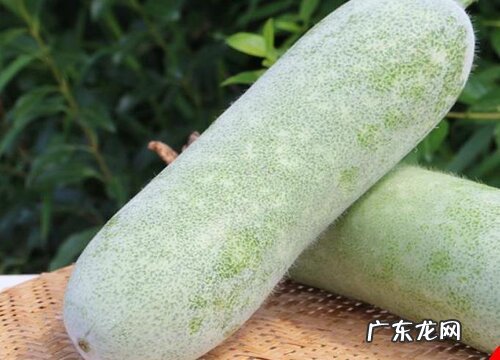 八月时令蔬菜有哪些 8月份上市的蔬菜品种