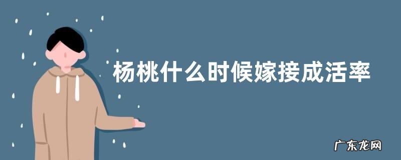 杨桃什么时候嫁接成活率高