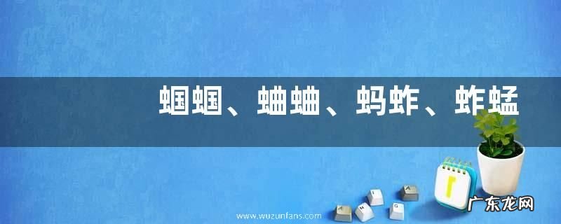 蝈蝈、蛐蛐、蚂蚱、蚱蜢、蝗虫的区别