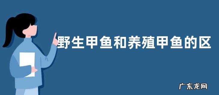野生甲鱼和养殖甲鱼的区别,可以从爪子、甲背、颜色等辨别