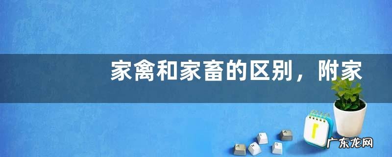 家禽和家畜的区别,附家禽和家畜的相同点