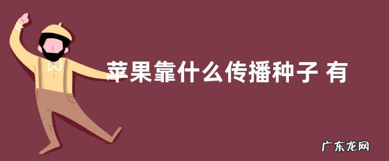 苹果靠什么传播种子 有哪些传播方式