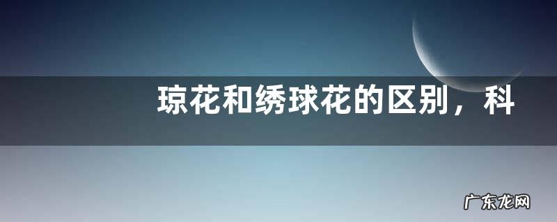琼花和绣球花的区别,科属、外形、花期与产地均有区别