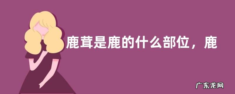 鹿茸是鹿的什么部位,鹿茸的功效与作用