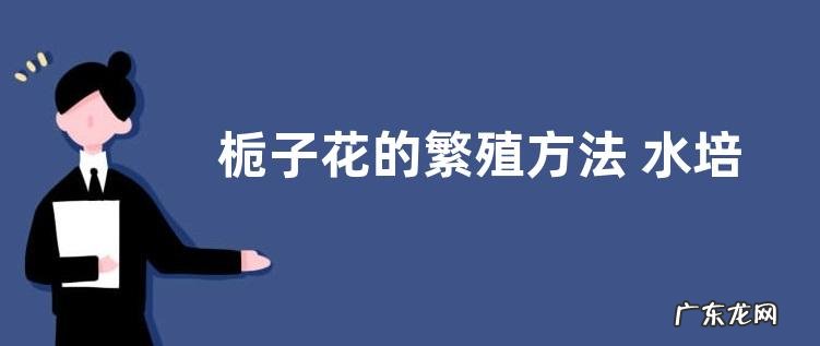 栀子花的繁殖方法 水培、插枝繁殖方法和注意事项