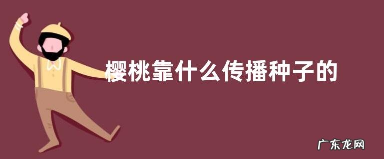 樱桃靠什么传播种子的 传播种子的方式有哪些