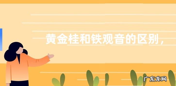 黄金桂和铁观音的区别，附叶底特点