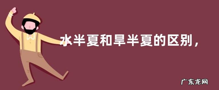 水半夏和旱半夏的区别,附其功效和作用