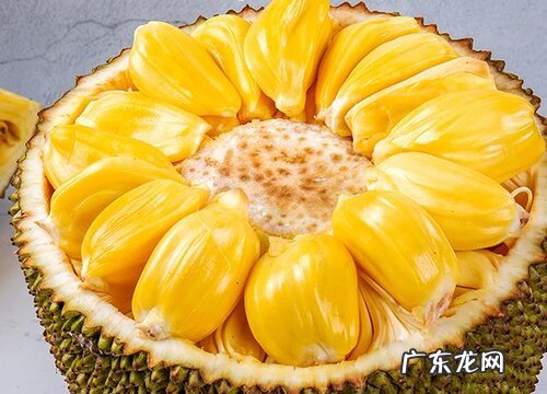 菠萝蜜一年四季都有吗 菠萝蜜是四季水果吗