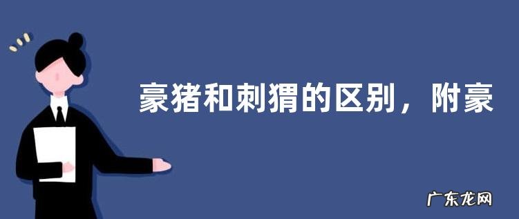 豪猪和刺猬的区别，附豪猪的生活习性
