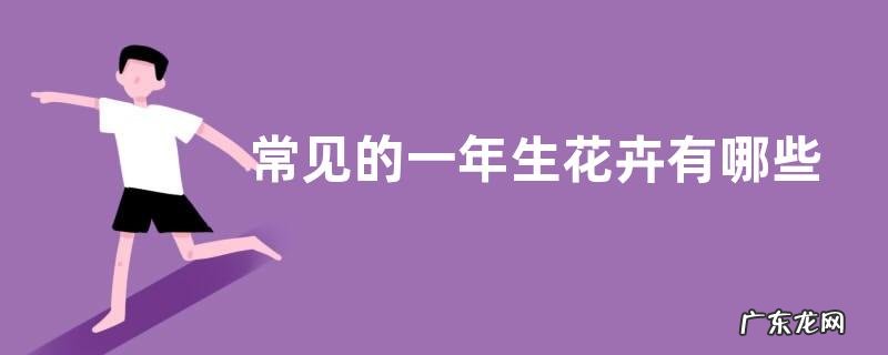 常见的一年生花卉有哪些，它们长什么样子