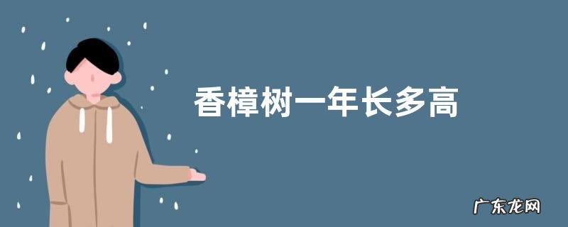 香樟树一年长多高