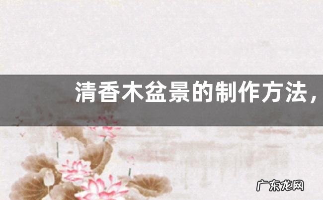 清香木盆景的制作方法,清香木盆景的养护管理