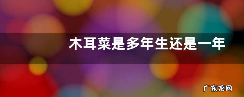 木耳菜是多年生还是一年生植物 第二年还能长吗