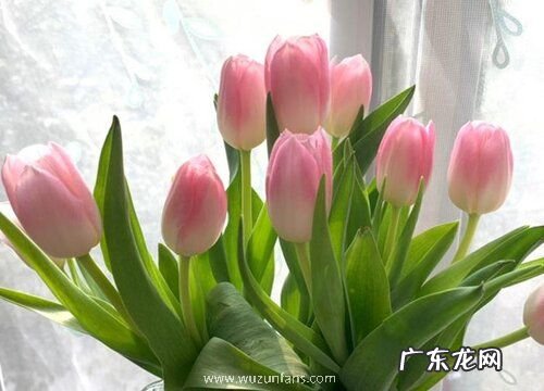 中秋节送什么花最好 四种最适合中秋时节送的花束