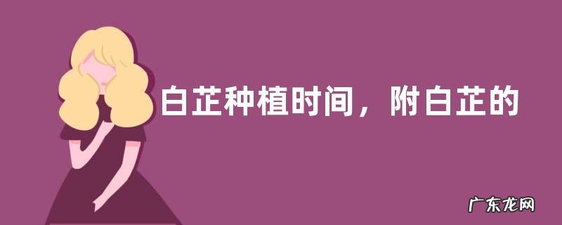 白芷种植时间,附白芷的播种方法