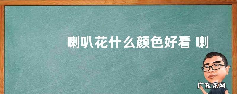 4种颜色 喇叭花什么颜色好看 喇叭花的形状与颜色特点
