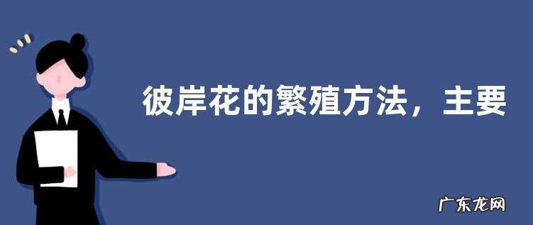 彼岸花的繁殖方法,主要有四种方法