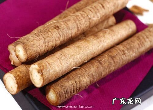 图片 牛蒡长什么样子野生植物牛蒡外形与样子特点