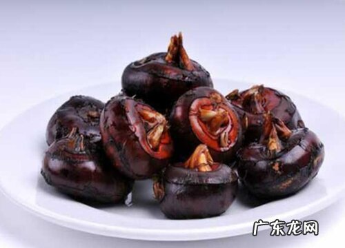 马蹄一年四季都有吗 一般什么季节上市