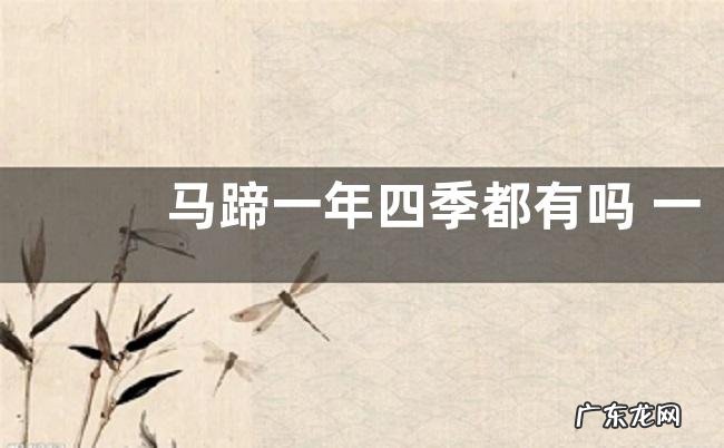 马蹄一年四季都有吗 一般什么季节上市