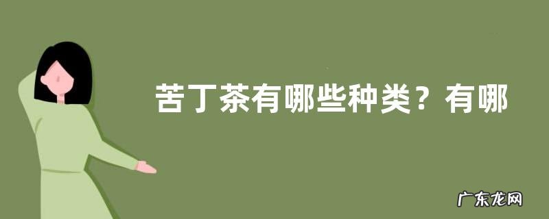 苦丁茶有哪些种类?有哪些作用