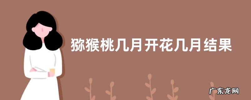 猕猴桃几月开花几月结果 什么时候成熟上市