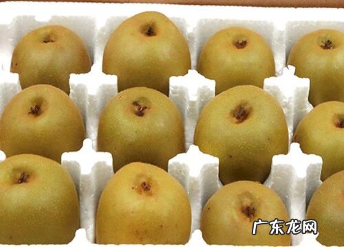 猕猴桃几月开花几月结果 什么时候成熟上市