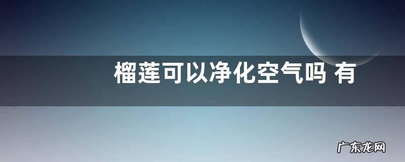 榴莲可以净化空气吗 有吸甲醛的作用吗