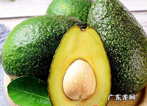 图片 牛油果长什么样子 牛油果树长的样子与特点