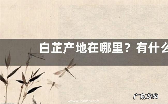 白芷产地在哪里？有什么药用价值