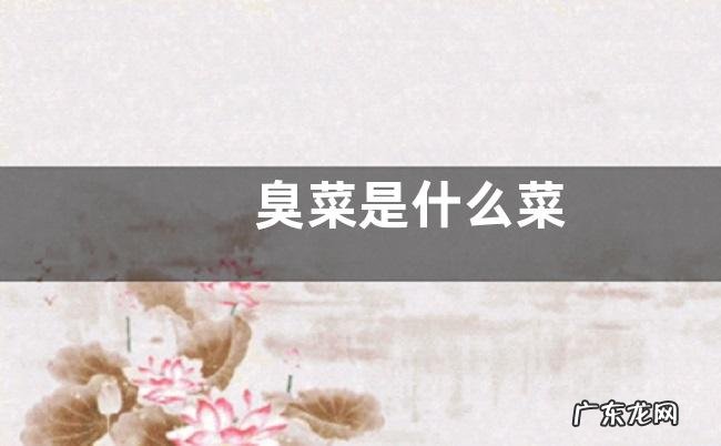 臭菜是什么菜