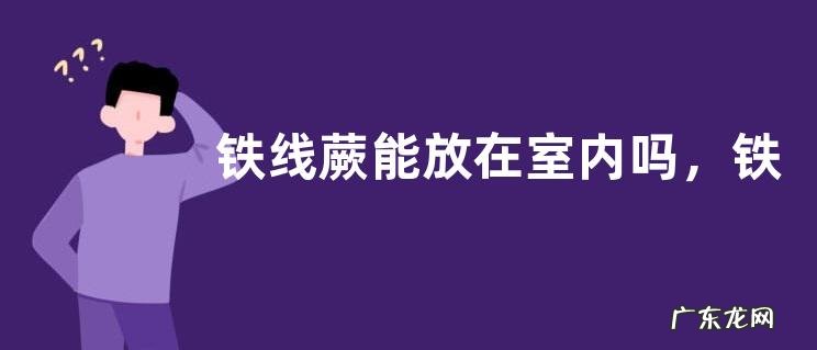 铁线蕨能放在室内吗,铁线蕨的养殖方法