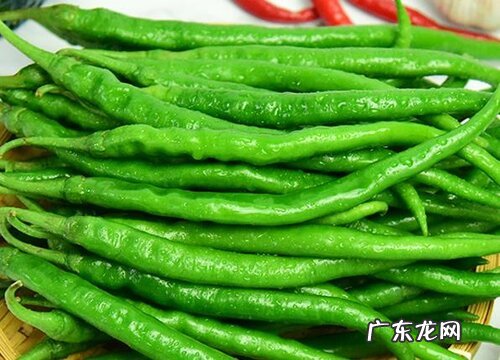 青椒的储存方法 怎样保存才能保持新鲜