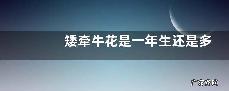 矮牵牛花是一年生还是多年生 属于一二年生花卉吗