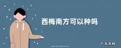 西梅南方可以种吗
