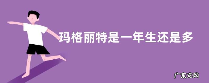 几年生 玛格丽特是一年生还是多年生 能活多少年