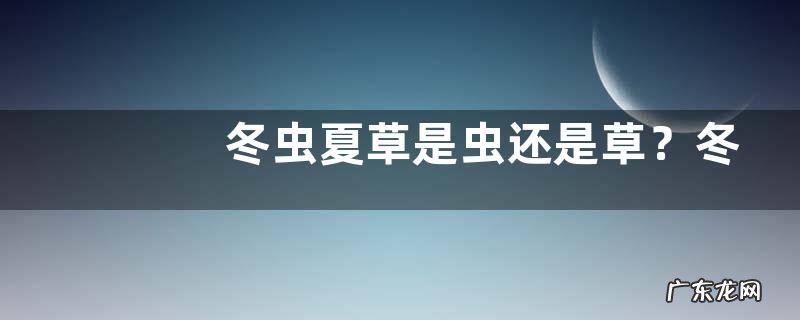 冬虫夏草是虫还是草？冬虫夏草怎么形成的